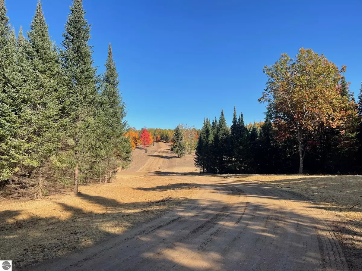 Fife Lake, MI 49633,5481 SW Old Oak Trail Lot 6