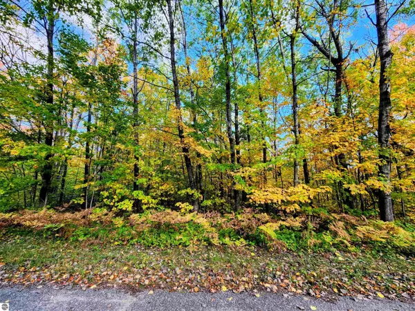 Mancelona, MI 49659,Lot 235 Cliffmont Drive