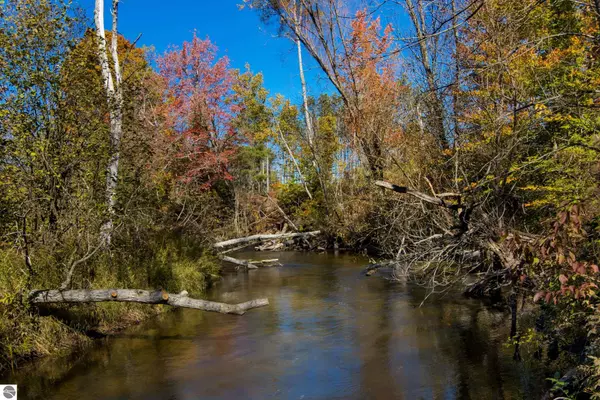 Thompsonville, MI 49683,Parcels A & E Wild River Way