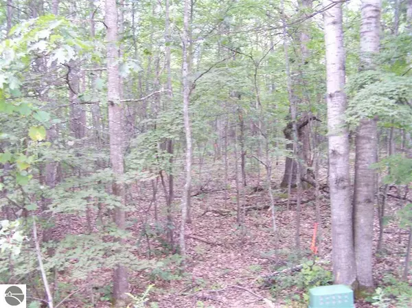 Farwell, MI 48622,N Circle E