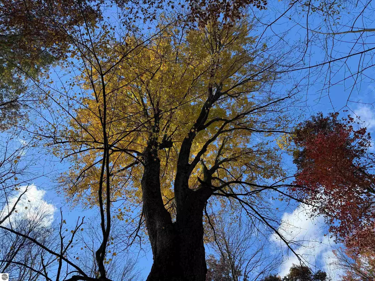 West Branch, MI 48661,VL S Eddy Creek Road