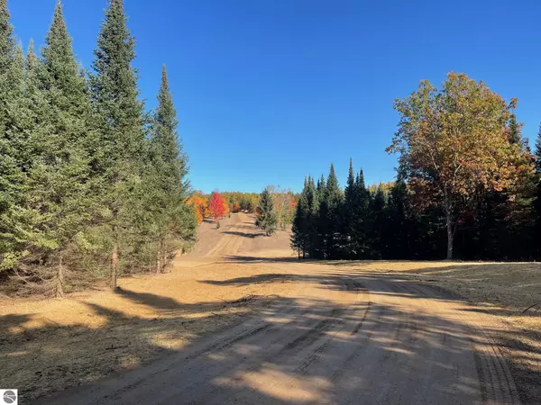 10677 SW Pine Ridge Drive Wildwood lot 15, Fife Lake, MI 49633