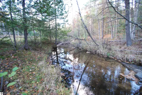 Alger, MI 48610,781 Lula Lane