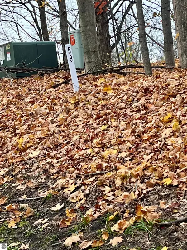 Bellaire, MI 49615,V/L 59 Colonial Drive