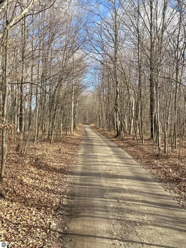 Elmira, MI 49730,TBD Blackberry Lane