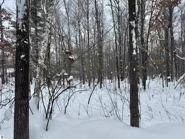 Cadillac, MI 49601,Parcel A 32 1/2 Road