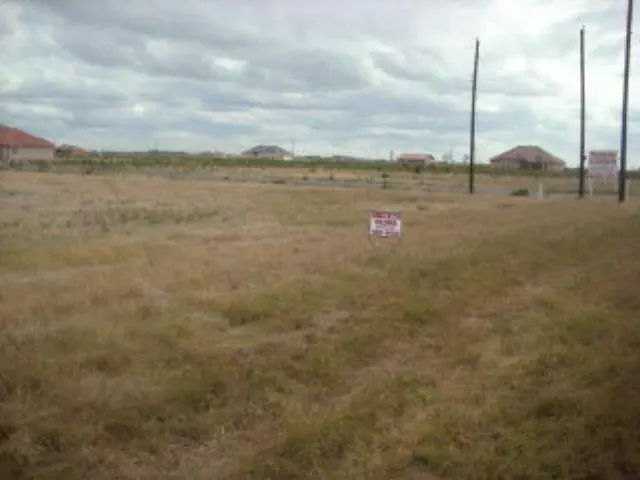 Progreso, TX 78569,0 E Flores ST