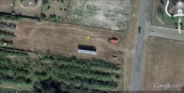 Alamo, TX 78516,TBD Tower RD