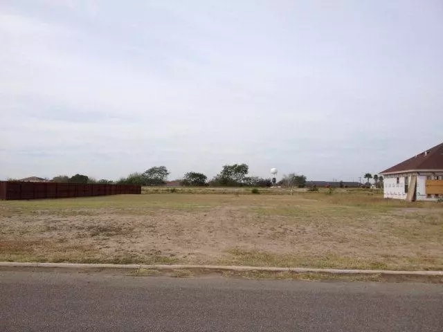 Donna, TX 78040,n/a White ST