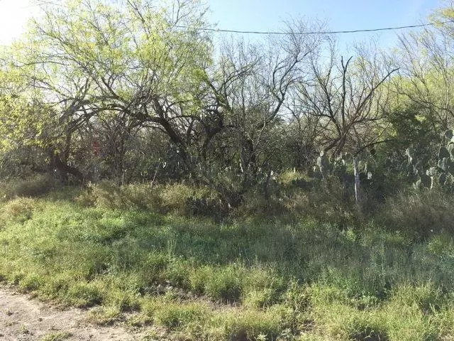 La Joya, TX 78560,000 Expressway 83