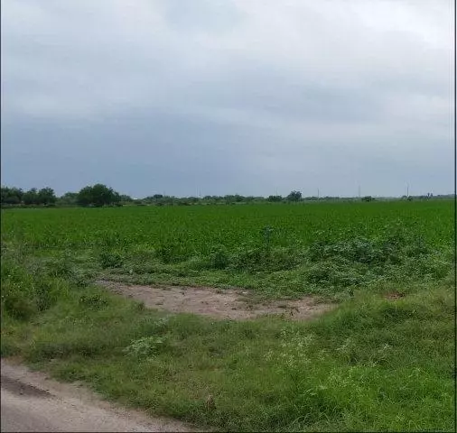 Donna, TX 78537,0000 E Owassa RD