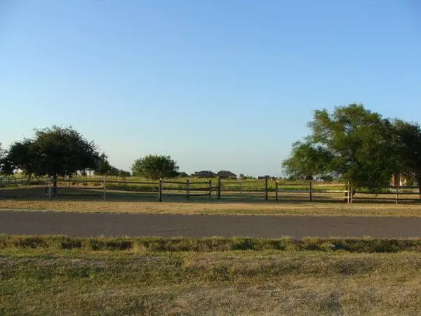 Monte Alto, TX 78538,Lot 2 W Ramseyer RD