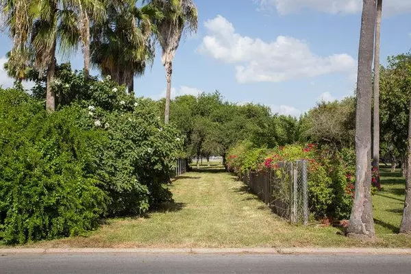 Mcallen, TX 78501,317 S 8th ST