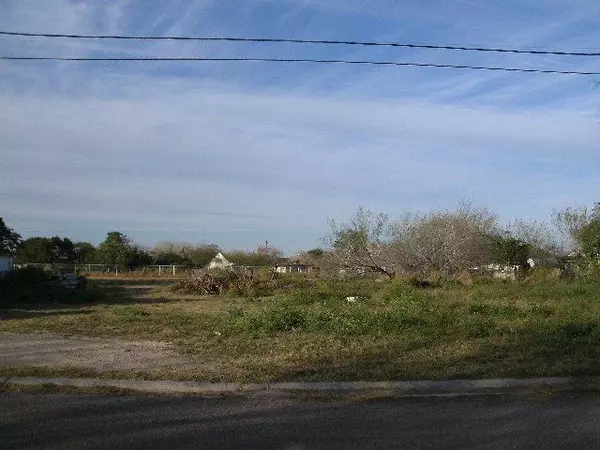 Edinburg, TX 78539,00 Wells ST