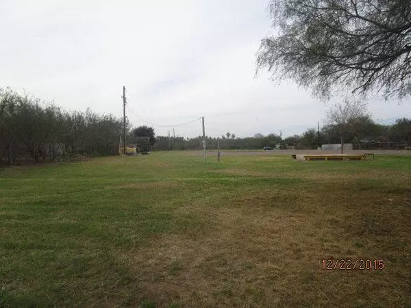 Palmview, TX 78574,1000 Goodwin Acres RD