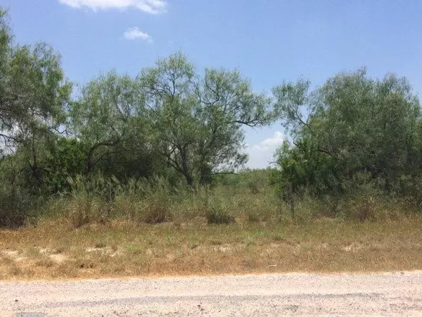 Falfurrias, TX 78355,Tr. 12 CR 216