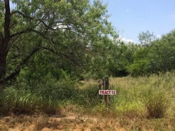 Falfurrias, TX 78355,Tr. 12 CR 216