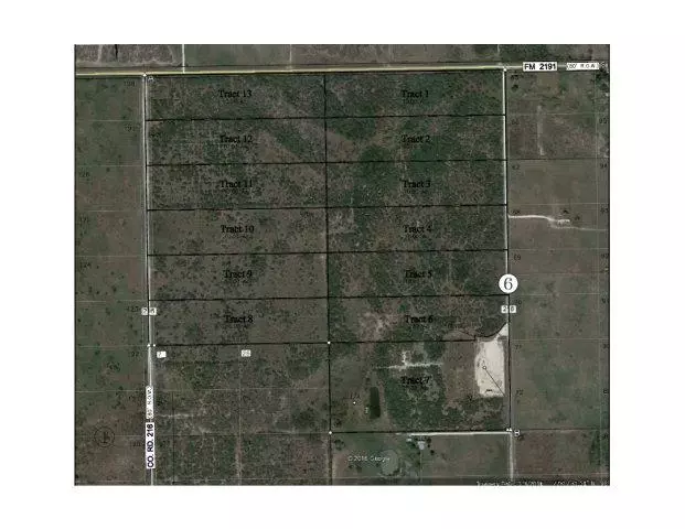 Falfurrias, TX 78355,Tract 9 CR 216