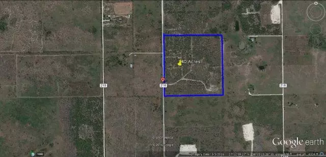 Falfurrias, TX 78355,225 CR 216