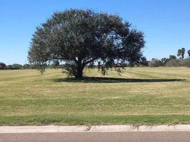 Donna, TX 78537,0 N FM 493 RD