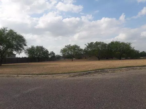 1709 Leanne LN,  Donna,  TX 78537