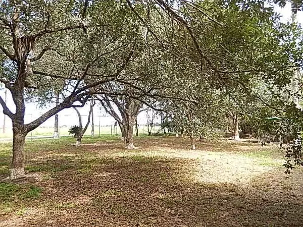 Alamo, TX 78516,707 E Minnesota RD