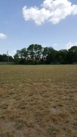 Palmhurst, TX 76872,00 Date Palm DR
