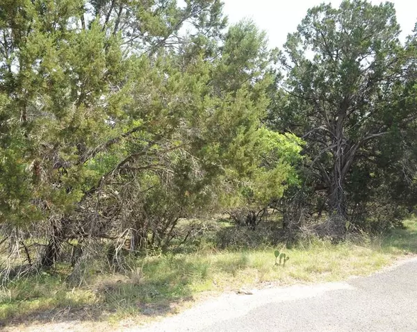 Wimberley, TX 78676,Address not disclosed