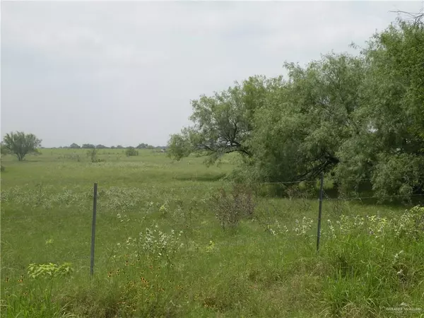 Falfurrias, TX 78355,0 CR 238 RD