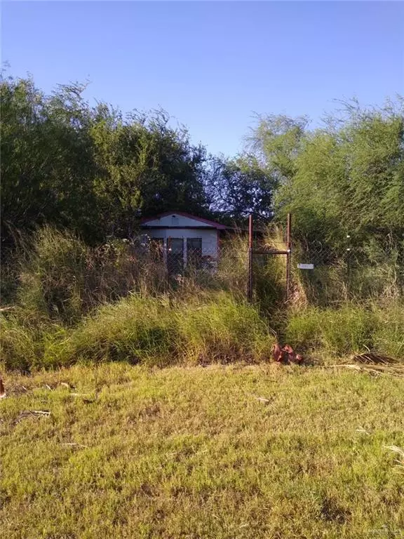 Edinburg, TX 78541,Lot 1 W Palm DR