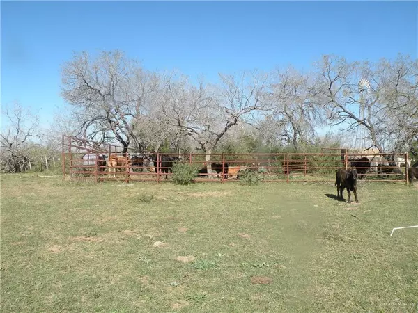 San Isidro, TX 78536,00 Energy RD