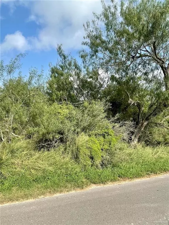 Progreso Lakes, TX 78596,N/A Moon Lake DR S