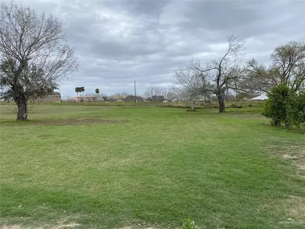 Donna, TX 78537,000 Cedar ST