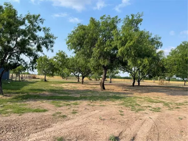 Donna, TX 78537,LOT117 Micaela ST