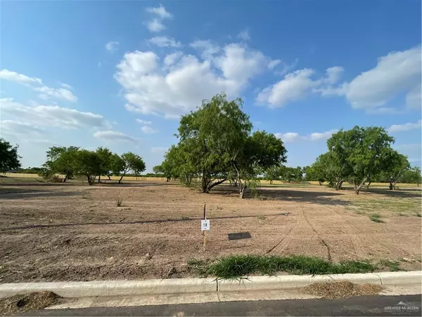 Donna, TX 78537,LOT117 Micaela ST