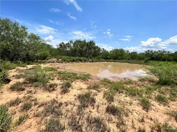 Benavides, TX 78376,68.56 acres County Road 260