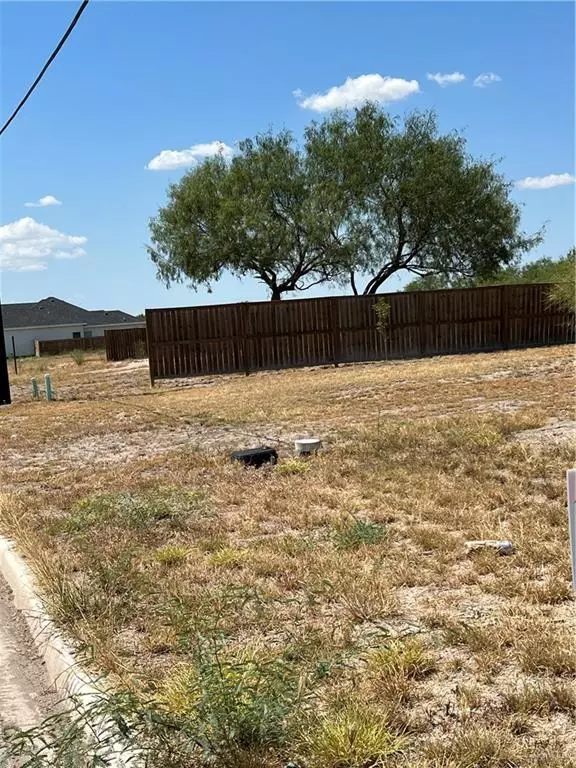 Palmview, TX 78572,2802 Mehran DR