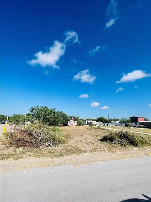 Monte Alto, TX 78538,25135 Las Nubes DR