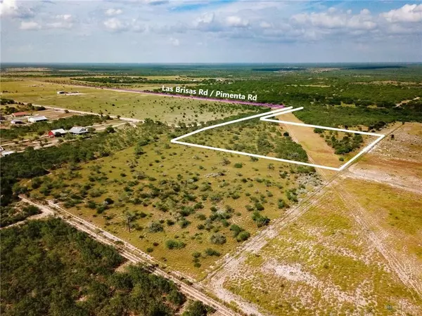 Rio Grande City, TX 78582,Lot 2 Pimenta RD