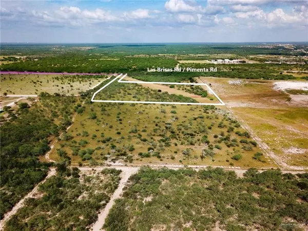 Rio Grande City, TX 78582,Lot 2 Pimenta RD