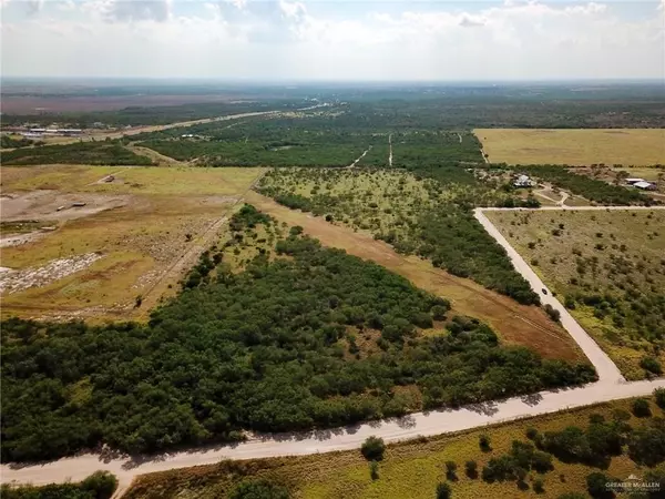 Rio Grande City, TX 78582,Lot 3 Pimenta RD