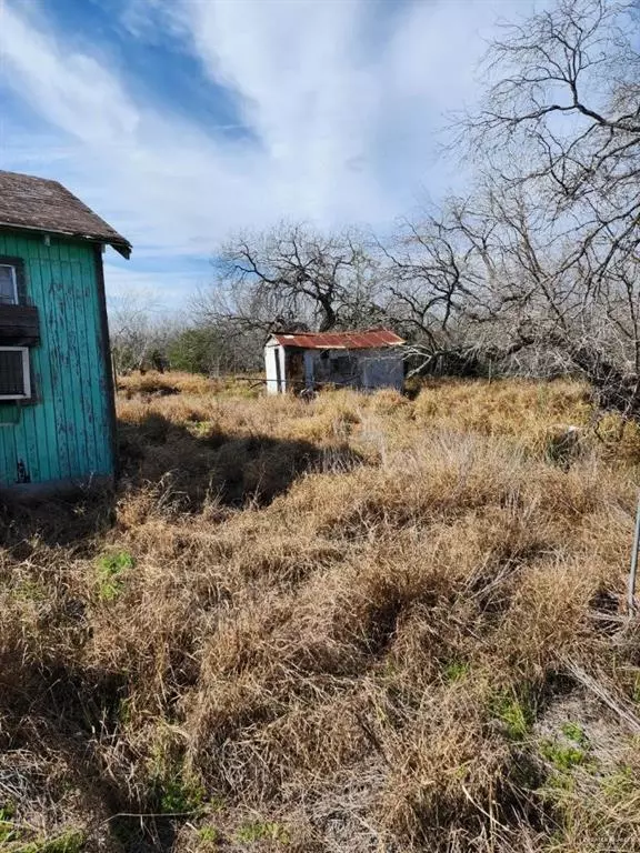 Delmita, TX 78536,1325 FM 2294