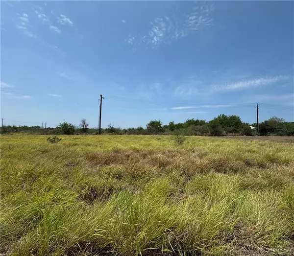 Rio Grande City, TX 78582,304 Palomino ST