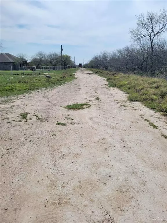 Edinburg, TX 78541,000 Calichera RD