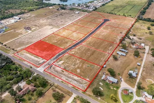 Palmhurst, TX 78573,1230 E Chelsea DR