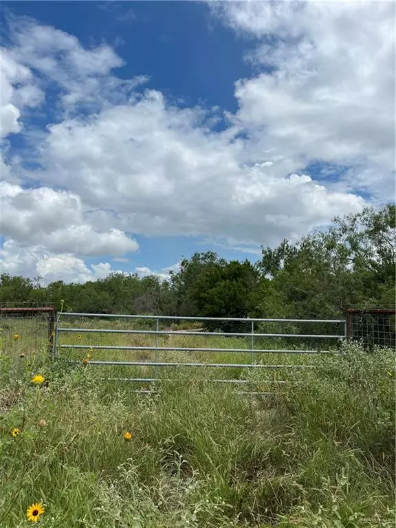 San Isidro, TX 78588,TBD FM 1017 HWY