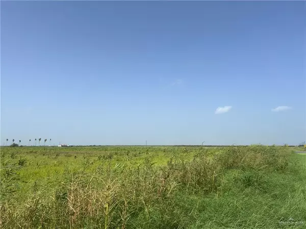 TBD FM 490 RD,  La Sara,  TX 78561