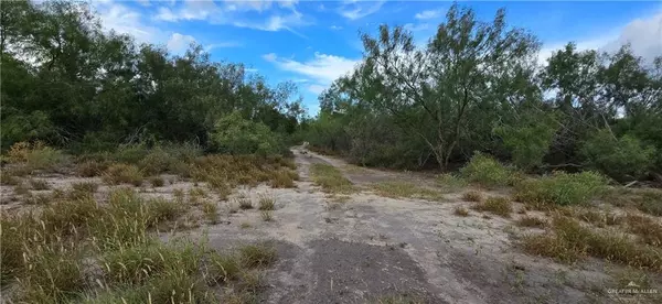 Edinburg, TX 78542,8.1 Miles W Mile 17 1/2 RD