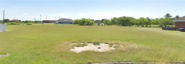 17519 Campana LN W, Elsa, TX 78543