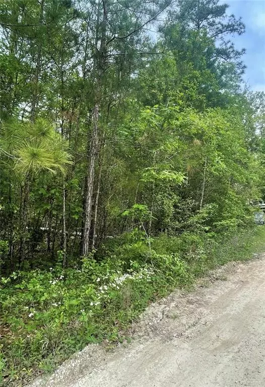 Other, TX 77356,TBD Holy DR E